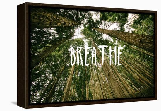 Breathe-null-Framed Stretched Canvas