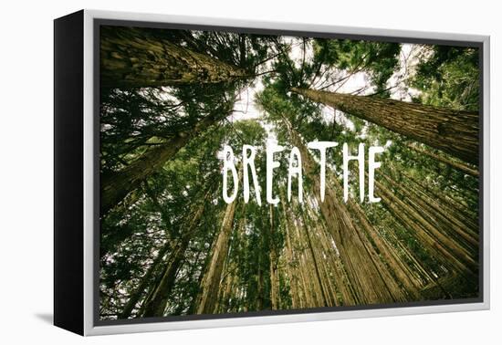 Breathe-null-Framed Stretched Canvas