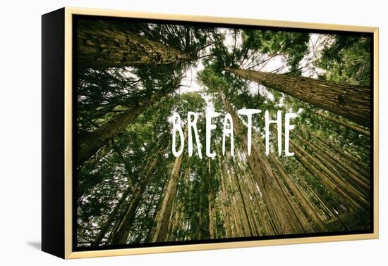 Breathe-null-Framed Stretched Canvas