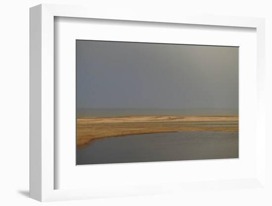 Breathing Heavily After the Rain (1)-Jacob Berghoef-Framed Photographic Print