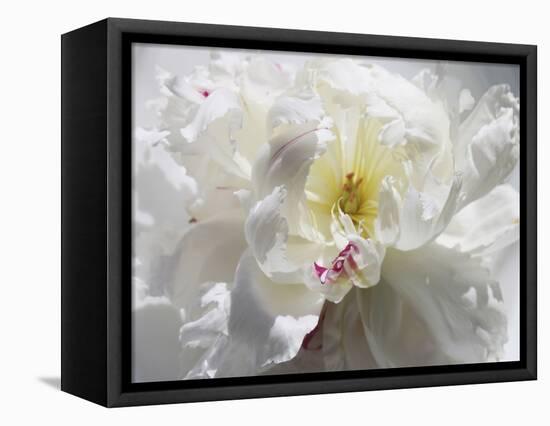 Breathless III-Irena Orlov-Framed Premier Image Canvas