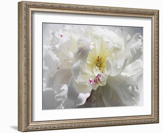 Breathless III-Irena Orlov-Framed Photographic Print