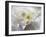 Breathless III-Irena Orlov-Framed Photographic Print