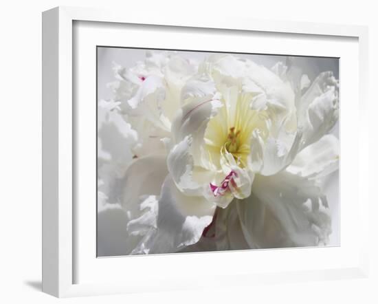 Breathless III-Irena Orlov-Framed Photographic Print