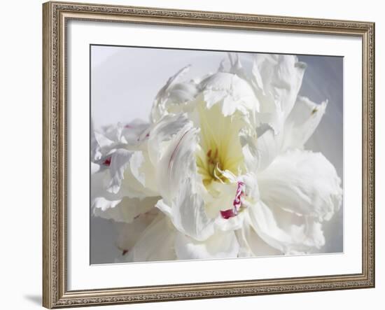 Breathless IV-Irena Orlov-Framed Photographic Print