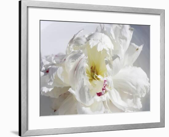 Breathless IV-Irena Orlov-Framed Photographic Print