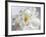 Breathless IV-Irena Orlov-Framed Photographic Print