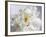 Breathless IV-Irena Orlov-Framed Photographic Print