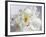 Breathless IV-Irena Orlov-Framed Photographic Print