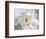 Breathless IV-Irena Orlov-Framed Photographic Print