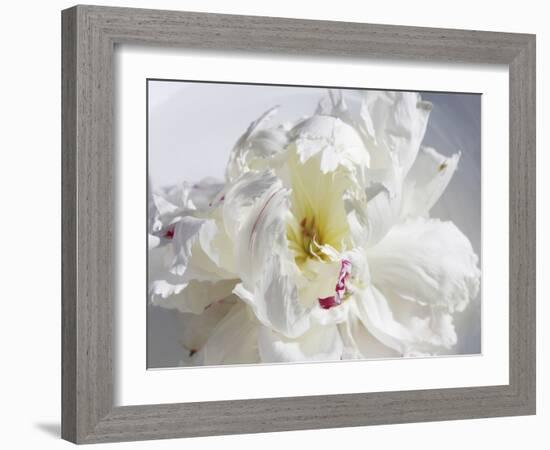 Breathless IV-Irena Orlov-Framed Photographic Print