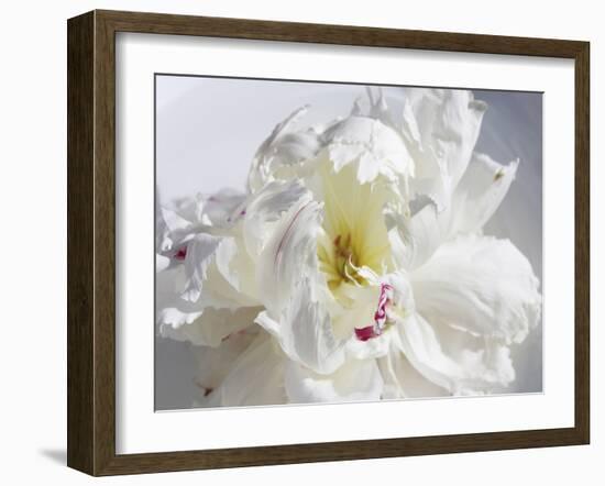 Breathless IV-Irena Orlov-Framed Photographic Print