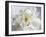 Breathless IV-Irena Orlov-Framed Photographic Print