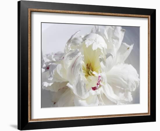 Breathless IV-Irena Orlov-Framed Photographic Print