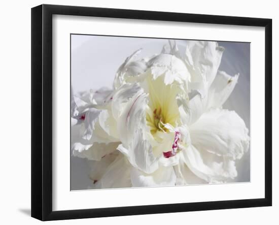 Breathless IV-Irena Orlov-Framed Photographic Print