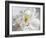 Breathless IV-Irena Orlov-Framed Photographic Print