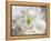 Breathless IV-Irena Orlov-Framed Premier Image Canvas