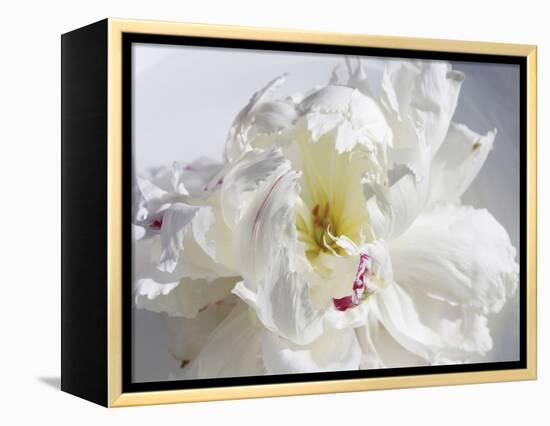 Breathless IV-Irena Orlov-Framed Premier Image Canvas