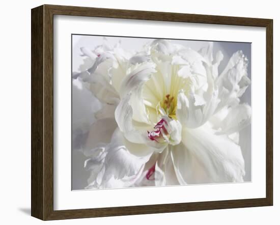 Breathless V-Irena Orlov-Framed Photographic Print