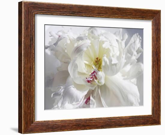 Breathless V-Irena Orlov-Framed Photographic Print