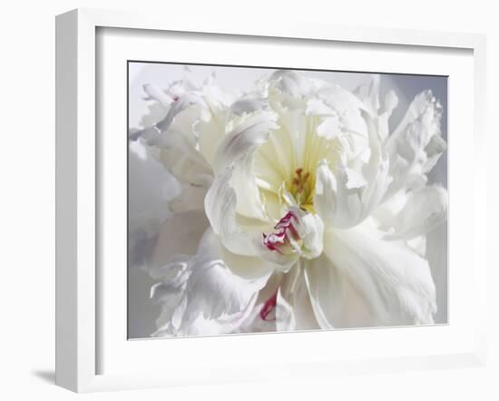 Breathless V-Irena Orlov-Framed Photographic Print