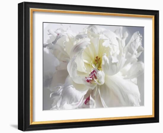 Breathless V-Irena Orlov-Framed Photographic Print