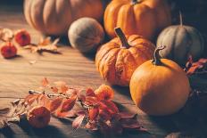 Delicious Field Salad with Grilled Pumpkin Stripes for Thanksgiving-Brebca-Photographic Print