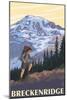 Breckenridge, Colorado - Mountain Hiker-Lantern Press-Mounted Art Print