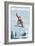 Breckenridge, Colorado - Snowboarder Jumping-Lantern Press-Framed Premium Giclee Print