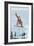 Breckenridge, Colorado - Snowboarder Jumping-Lantern Press-Framed Premium Giclee Print