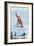 Breckenridge, Colorado - Snowboarder Jumping-Lantern Press-Framed Premium Giclee Print