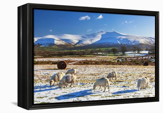 Brecon Beacons National Park, Wales, United Kingdom, Europe-Billy Stock-Framed Premier Image Canvas