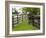 Breeding Thoroughbreds, County Kildare, Ireland-William Sutton-Framed Photographic Print