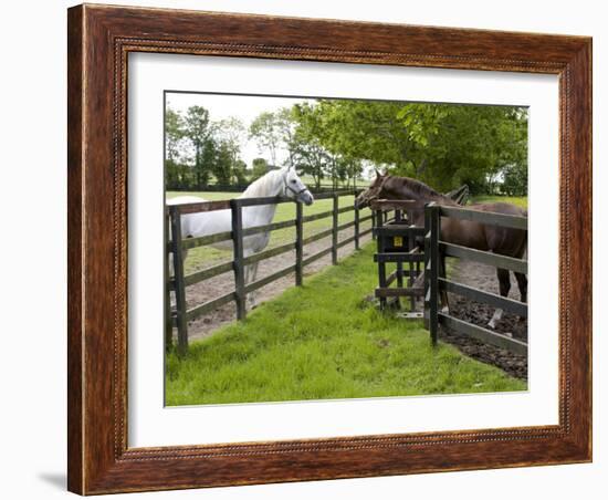 Breeding Thoroughbreds, County Kildare, Ireland-William Sutton-Framed Photographic Print