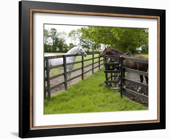 Breeding Thoroughbreds, County Kildare, Ireland-William Sutton-Framed Photographic Print