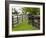 Breeding Thoroughbreds, County Kildare, Ireland-William Sutton-Framed Photographic Print