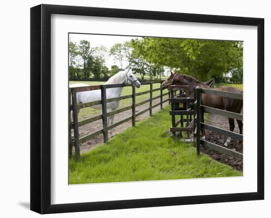 Breeding Thoroughbreds, County Kildare, Ireland-William Sutton-Framed Photographic Print