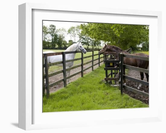 Breeding Thoroughbreds, County Kildare, Ireland-William Sutton-Framed Photographic Print