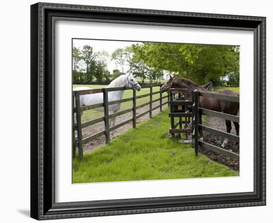 Breeding Thoroughbreds, County Kildare, Ireland-William Sutton-Framed Photographic Print