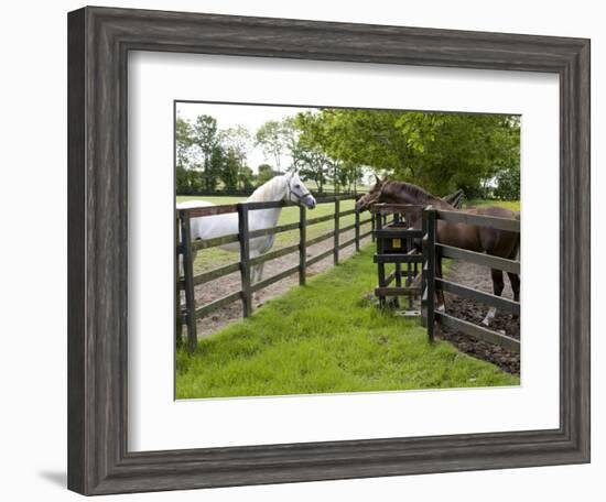 Breeding Thoroughbreds, County Kildare, Ireland-William Sutton-Framed Photographic Print