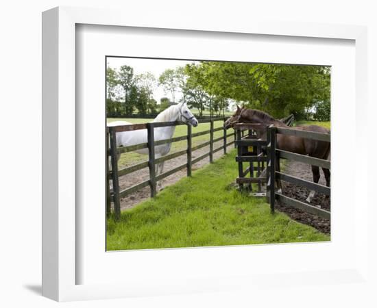 Breeding Thoroughbreds, County Kildare, Ireland-William Sutton-Framed Photographic Print