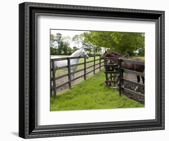 Breeding Thoroughbreds, County Kildare, Ireland-William Sutton-Framed Photographic Print