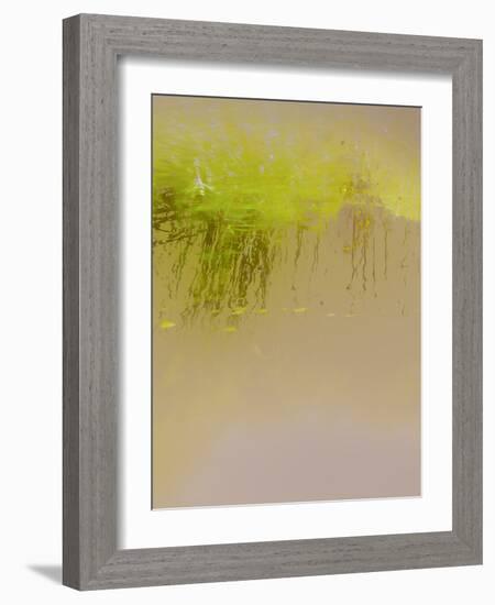 Breeze Amidst the Reeds-Valda Bailey-Framed Photographic Print