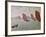 Breeze, Concarneau, 1891-Paul Signac-Framed Giclee Print