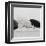 Breeze I-Cyndi Schick-Framed Giclee Print