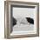 Breeze I-Cyndi Schick-Framed Giclee Print