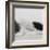 Breeze I-Cyndi Schick-Framed Giclee Print