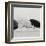 Breeze I-Cyndi Schick-Framed Giclee Print