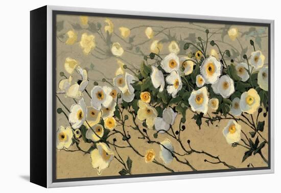 Breezes-Shirley Novak-Framed Stretched Canvas