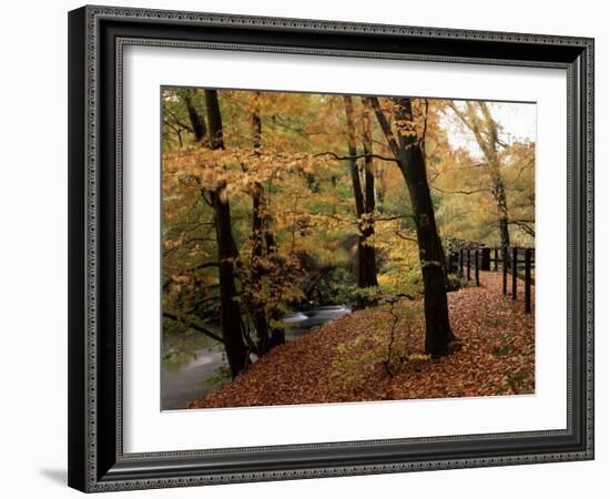 Breezy Autumn Day by the River Brathay Footbridge, Skelwith Bridge, Cumbria, England-Pearl Bucknall-Framed Photographic Print